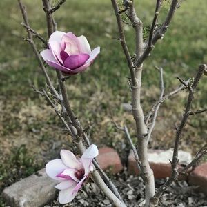 Meet your Posher, Tosh